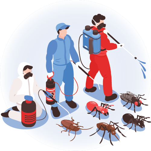 Pest Control Thane 100 Satisfaction By Pest Control Thane