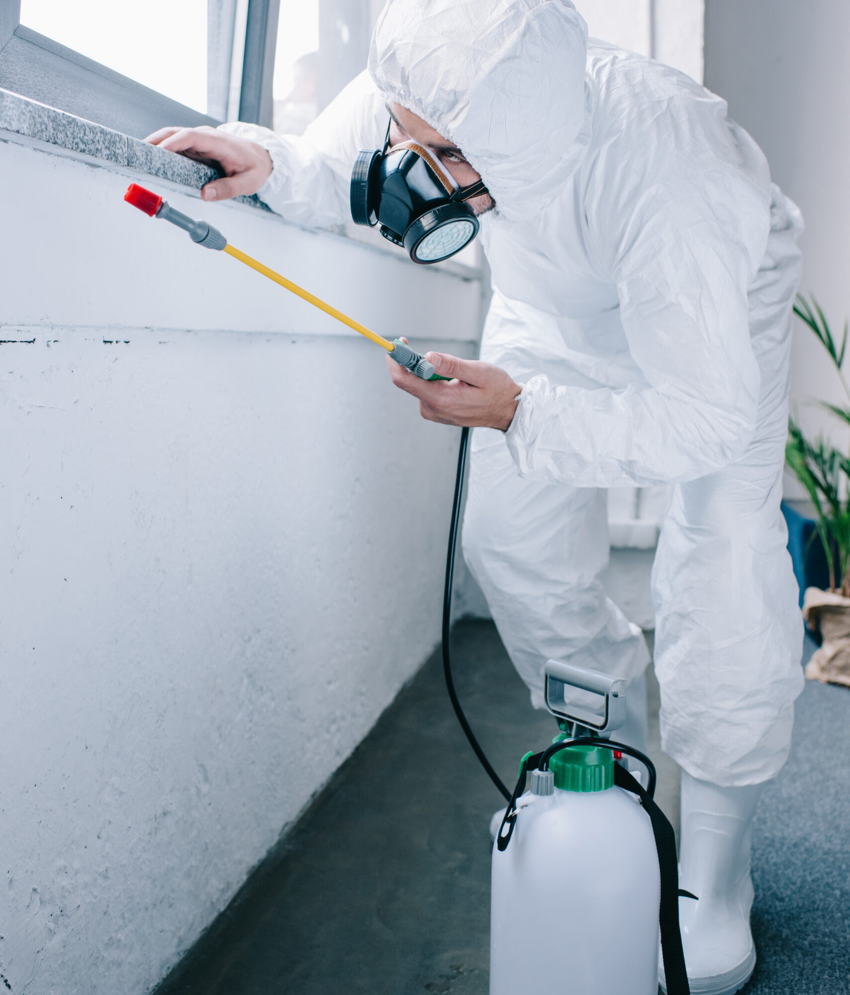 Pest Control Thane 100 Satisfaction By Pest Control Thane